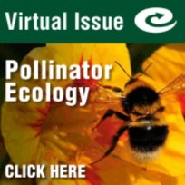 pollinator VI ad