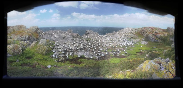 You can see an example of these zoomable images here. ©Alistair Hobday