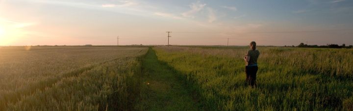 Dawn bird survey in arable farmland. © Rob Robinson/BTO
