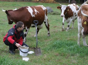 Research on dung beetles is far from boring. © Kari Heliövaara.