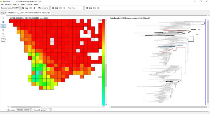 The map shows the rate of phylogenetic range-weighted turnover from the grey cell to each of the other cells, with red having the highest turnover. Black branches on the tree are found in both the grey cell and the cell immediately above it. Red branches are only in the grey cell, blue branches are only in the other cell. There are many black branches, which is why there is a low turnover between the two cells. © Shawn Laffan