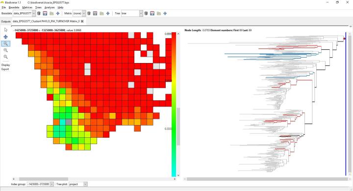 In this plot, the highlighted branches are for the cell two up and two across from the grey cell. You can see why there is a high turnover between these two cells because most are in blue or red, with very few shared except for the deeper branches. © Shawn Laffan