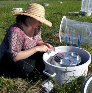Bess Hardwick measuring gas fluxes from cow pats. © Eleanor Slade.