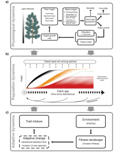 Key processes modelled within the plant package.