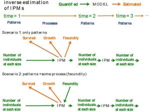 Two scenarios where inverse estimation of IPMs is useful