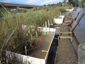 Passive weirs installed in restored marshes at Weeks Bay National Estuarine Research Reserve. Weirs retain water at low tide (as seen in the foreground), while adjacent controls drain during low tide. ©Erick Sparks