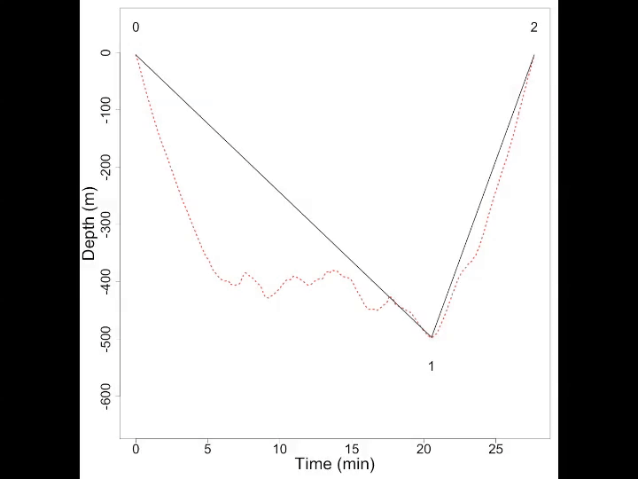 BSM_Figure 3_animation_FINAL