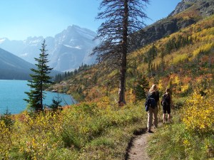 Thousands of volunteers around the world work on Citizen Science projects. ©GlacierNPS