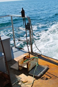Hydrophone mounted on a weight, ready for deployment in the field. ©Rosalyn Putland