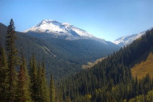 A 5.2 million acre area in the San Juan Mountains was deemed the best location for a Canada lynx reintroduction. © Brendan Bombaci