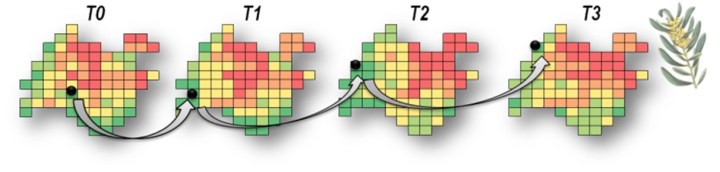 The concept of a spatio-temporal corridor for a species in an environmental heterogeneous region.