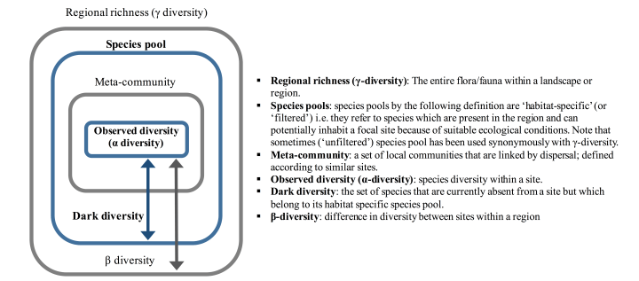 Dark diversity is part of the species pool concept which in turn is inherently related to other ecological concepts and approaches, including beta diversity. Adapted from Figure 1 from Lewis et al. 2016a