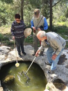  The small size of the rockpool and the salamander population makes non-invasive sampling a necessity (from left: Tamar Krugman, Alan Templeton, Leon Blaustein). © Arne Nolte 