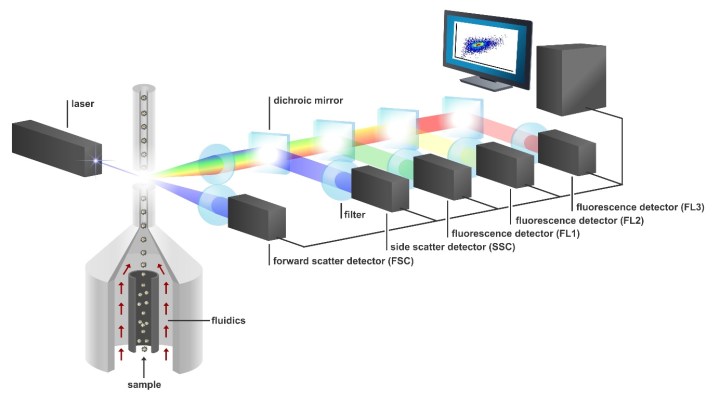 Analysing microbial communities by flow cytometry. From De Roy (2014).