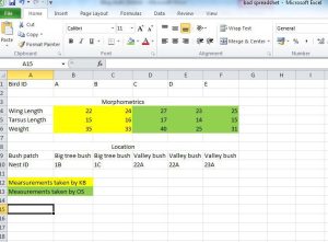 Best to avoid messy datasets like this one. Note the numerous messy elements, including variables in rows, observations in columns, empty rows, merged cells and colour coding to indicate additional information.
