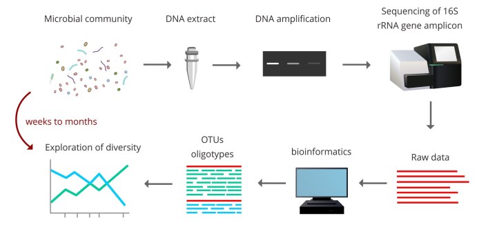 Recipe for a microbial diversity analysis with molecular technologies. 