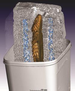 Cooled lizards are restrained between two Styrofoam plates and placed in a custom-built Styrofoam holder. The video below shows a real-time in vivo μCT scan of a lizard inside its sample holder.