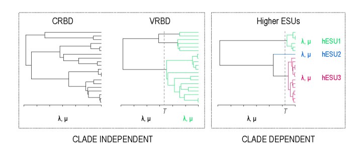The phylogenetic patterns of three diversification models that could have led to the conifer LTT curve. 1) Constant  birth and death rates, shared among all lineages. 2) Variable birth and death rates, with a diversification rate increase that is shared among all lineages, 3) Variable birth and death rates, decoupled among hESUs. The threshold, T, denotes the time at which rates shift.