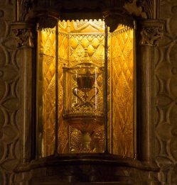 Spatially distributed, identically sampled, long-term data: the Holy Grail for biogeographers. ©CucombreLibre