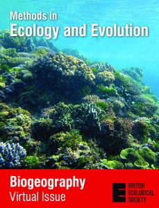 Photo © An-Yi Cheng