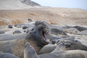 ©Theoni Photopoulou