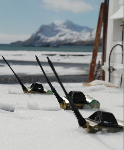 CTD-SRDL telemetry tags being primed for deployment. ©Theoni Photopoulou