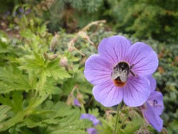 © Katherine Baldock