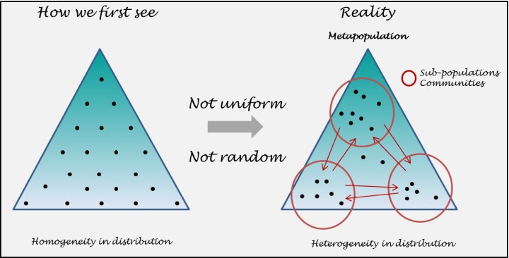 How individuals could distribute themselves within an area.