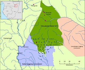 lue dots are the locations of 50 acoustic recorders separated by an average of 5km. Red dots indicate the location of important forest clearings where elephants access scarce minerals.