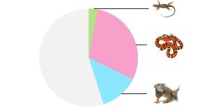 Lacertid lizards, advanced snakes and iguanas cover around 4000 living species, so molecular sexing is now potentially available for around 40% of squamate reptiles.