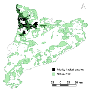 Priority areas to be protected to maintain habitat connectivity for the bearded and Egyptian vulture in Catalonia. Natura 2000 sites are also shown.