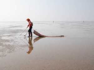 A woman collecting snails in the Yellow River estuary, China. Estuaries are important habitats for marine gastropods and nurturing grounds for marine fishes. ©Thomas Larsen