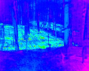 Thermal image of heated forest plots.  © Jon Chapell, Science Metrics LLC 2015