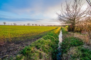 Land-use change in Europe is often typified by land-drainage to create arable fields.