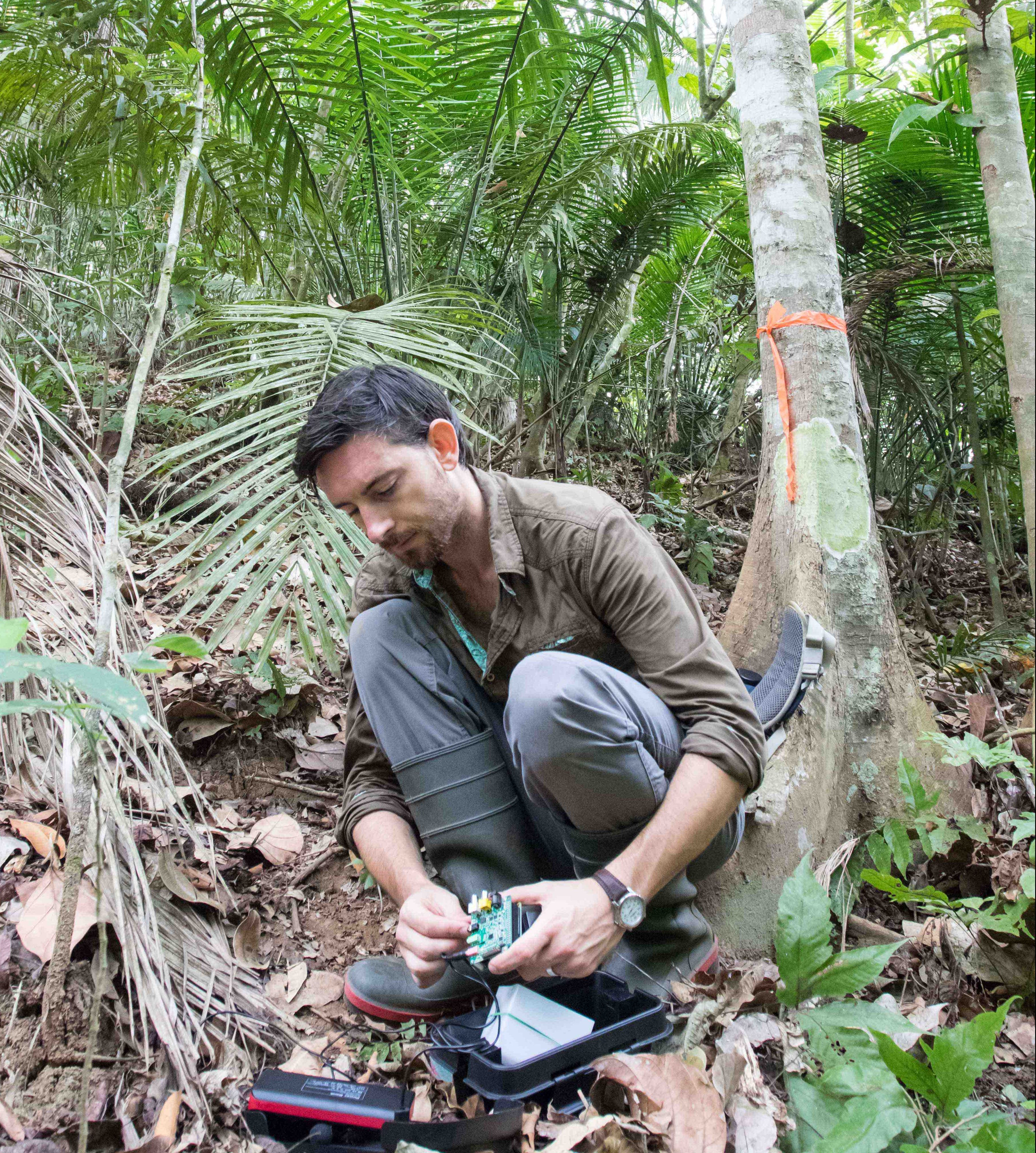 Bioacoustic Tools Solo: Developing a Cheap and Flexible Bioacoustic Tool for Ecology and ...