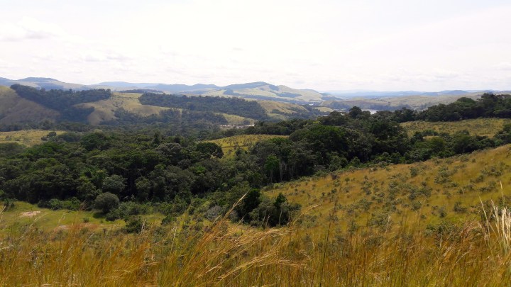 Lopé National Park. ©Jeremy Cusack