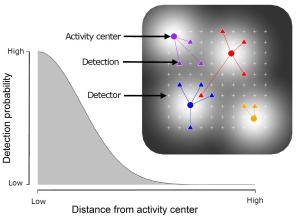 SCR models simultaneously estimate the detection function and density of individual activity centres. A half-normal detection model is generally used.
