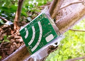AudioMoth low-cost, open-source acoustic sensor ©openacousticdevices.info