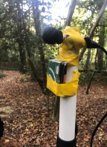 Comparative testing of AudioMoth and Wildlife Acoustics Song Meter for detection of ultrasonic bat calls ©Ella Browning