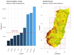 Spatial autocorrelation range in the predictor variables (left) and the spatial blocks (right) constructed based on the median of these ranges