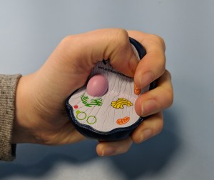 Stress in academia is increasingly recognised, but knowing about an issue and solving it are very different things. ©Christopher Sweeney