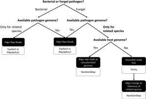 Proposed workflow for analyzing dual RNA-seq datasets when genomic resources are limited.