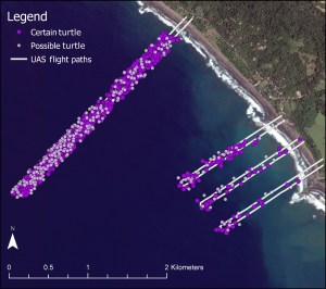 Map of the study site at Ostional, Costa Rica with an overview of drone flight paths.