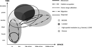 Comparison of spatial and temporal scales of animal movement and remote sensing data. © Neuman et al.