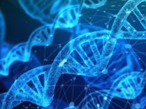 Dna Network Research Chemistry Medical Biology