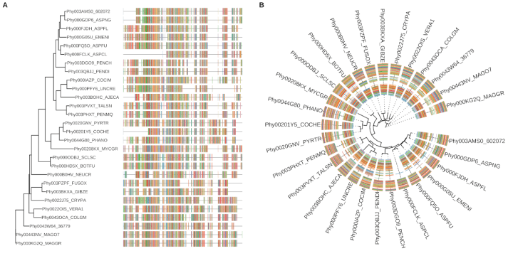python - phylogenetic tree visualization using python... 10th Anniversary Volume 8: Phylogenetic tree visualization with ...