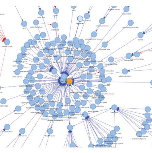 Part of Figure 1 in the authors' article: the interface of ontoFAST.