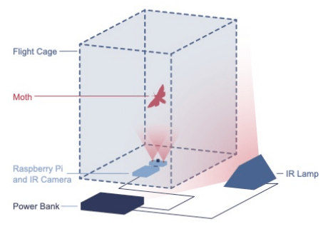 Illustration of pLAM.