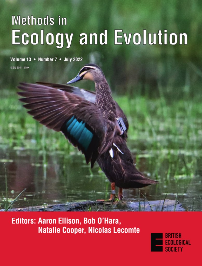 The MEE July cover showing a Pacific Black Duck in flight.