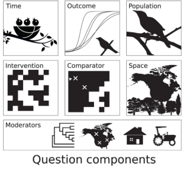 Figure 1a from the authors' article showing the components from which the scope of the research question is formally defined